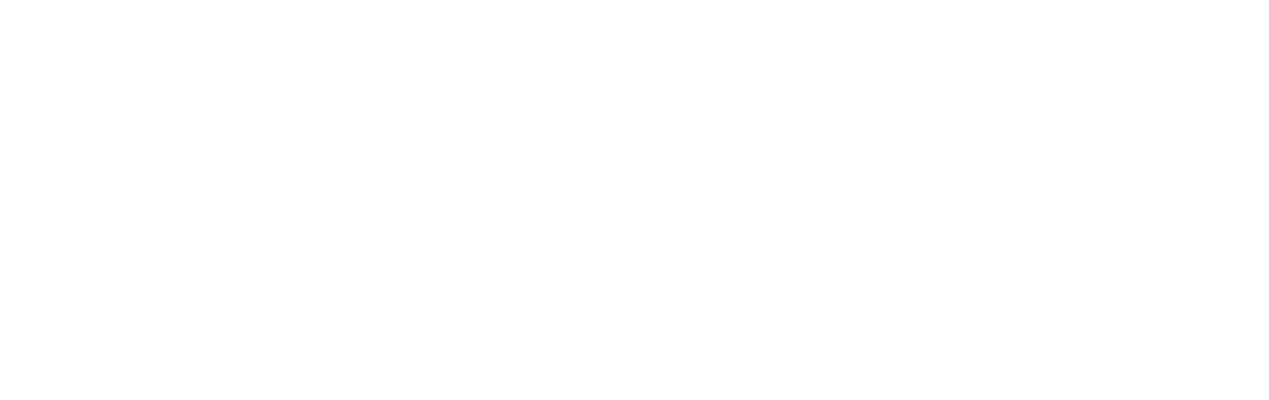 Gov Logo